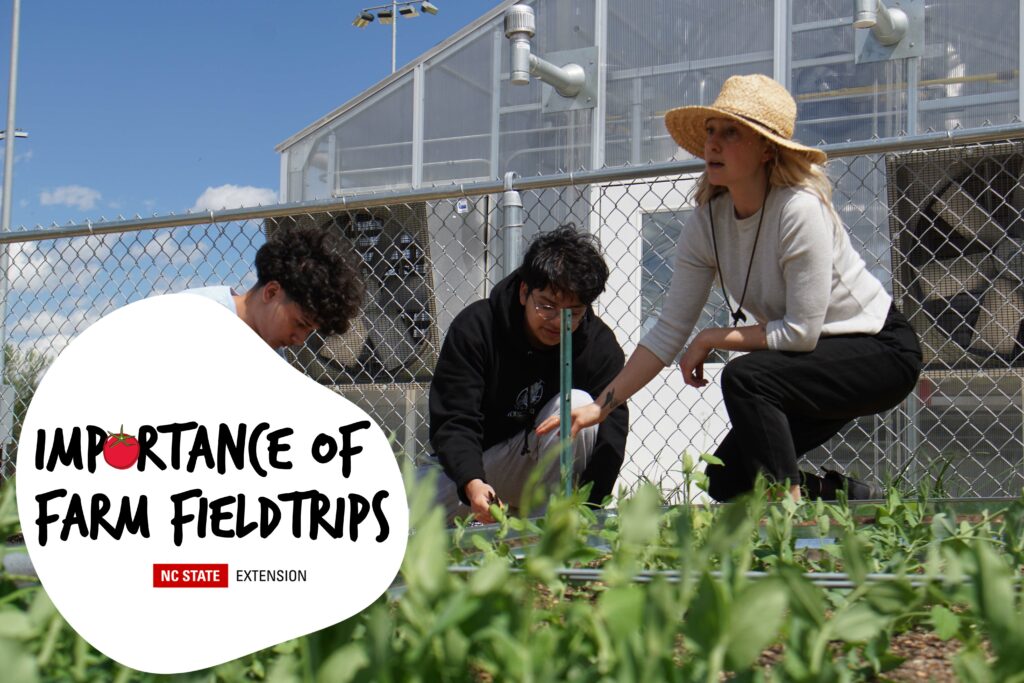 Students learn in a garden.