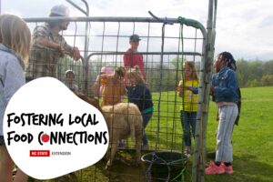 Cover photo for Fostering Connections Through Local Food