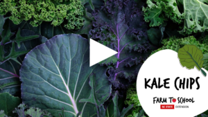 click to video on making Kale chips